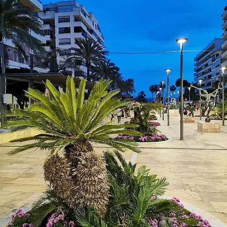 Center Sea View